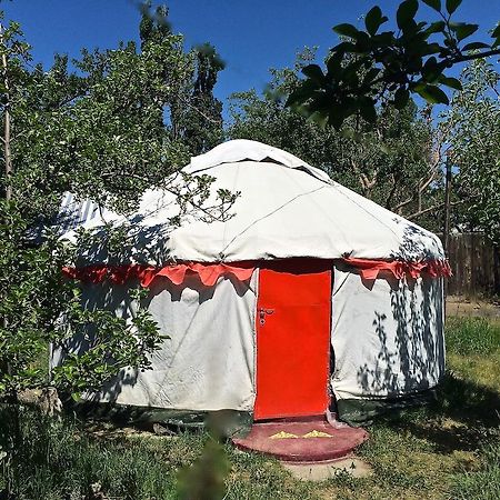 Arista Yurt Camp Hotel Karakol Room photo